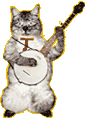 Dr. Nyanko