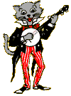 banjo-cat
